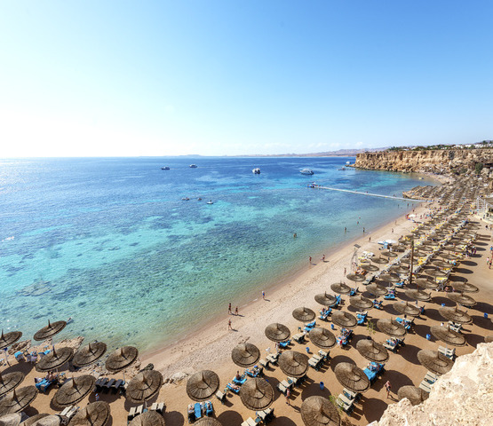 Reef Oasis Beach: Nauka nurkowania oraz 7 nocy w hotelu All Inclusive 's photos